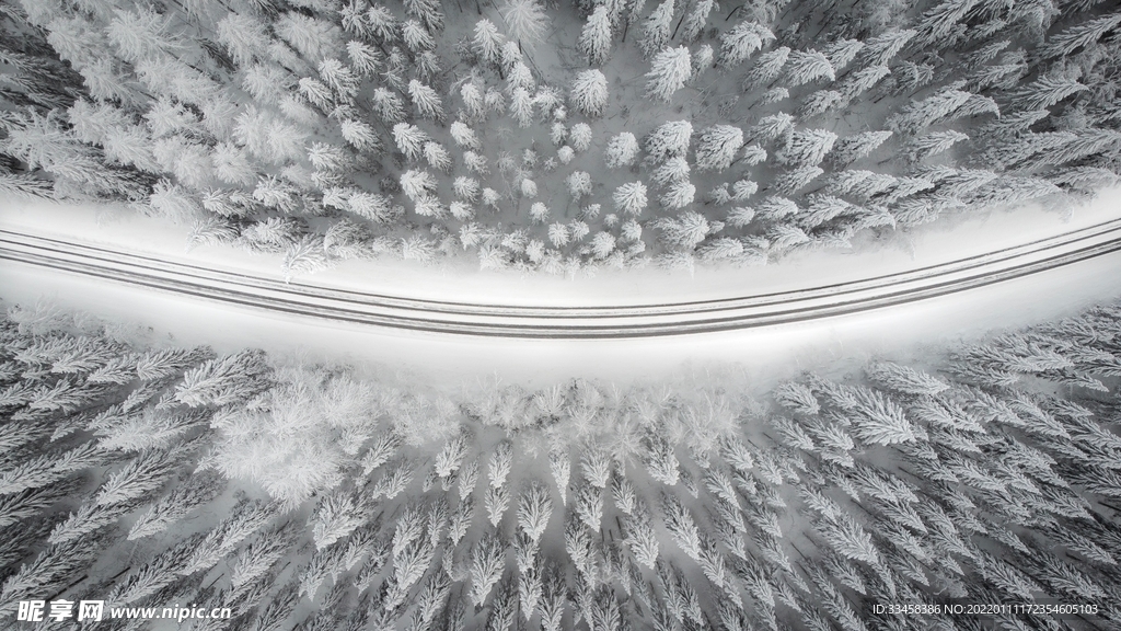 雪地壁纸