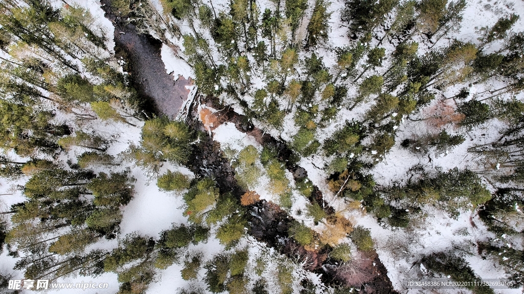 雪地壁纸