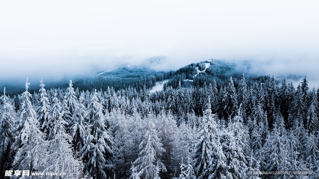雪地壁纸
