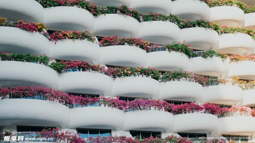 阳台上的鲜花