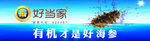 好当家海参