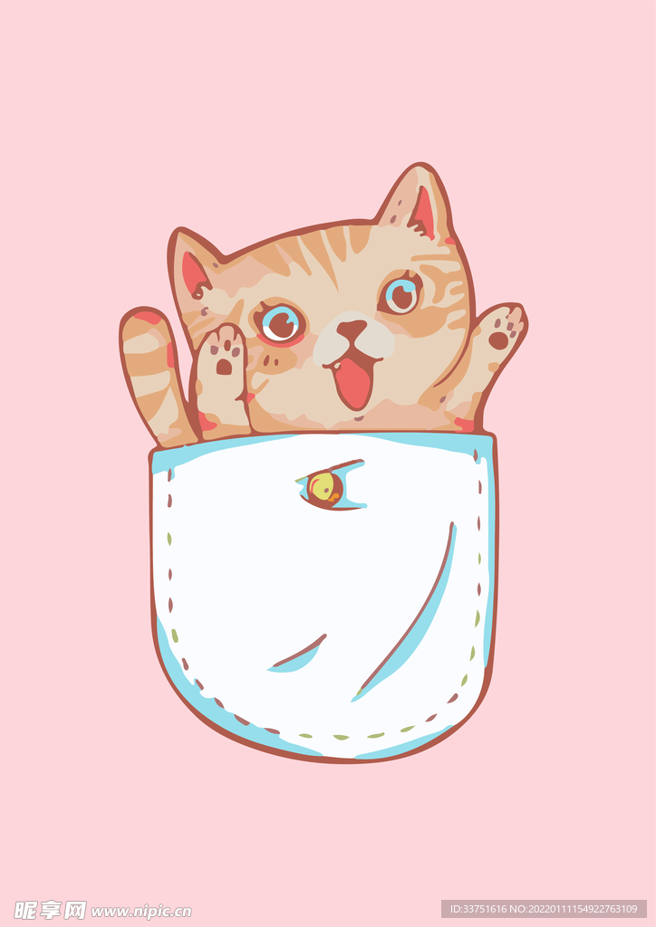 猫咪