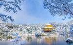 雪景