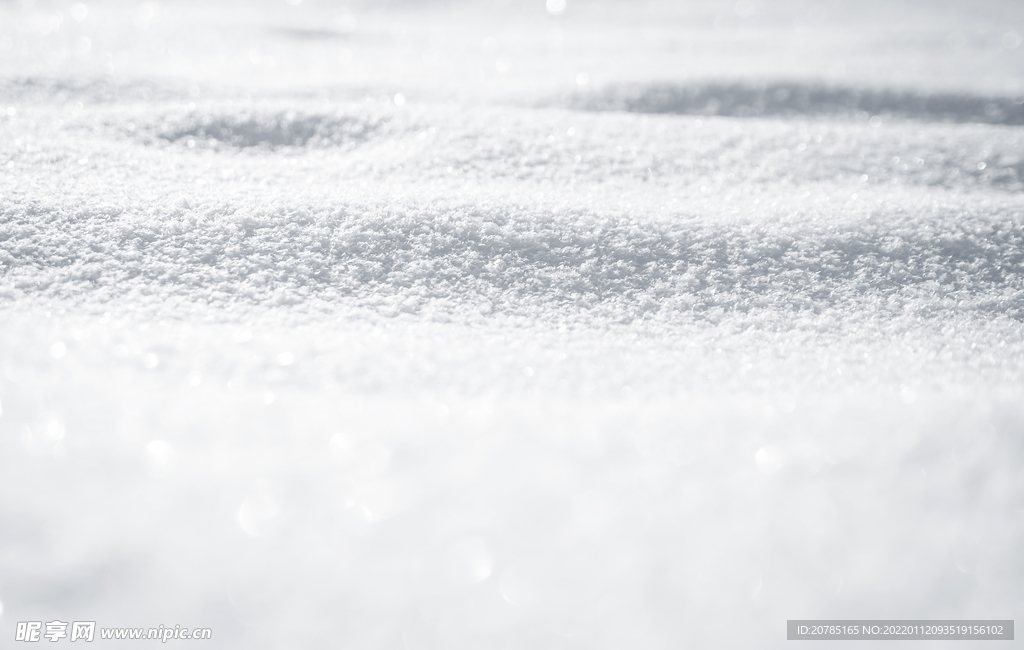 雪地