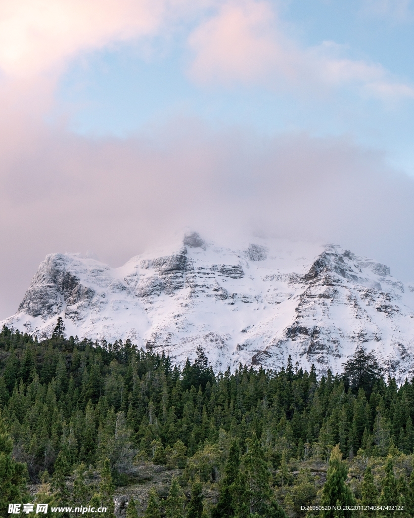 雪景