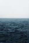 海