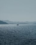 海