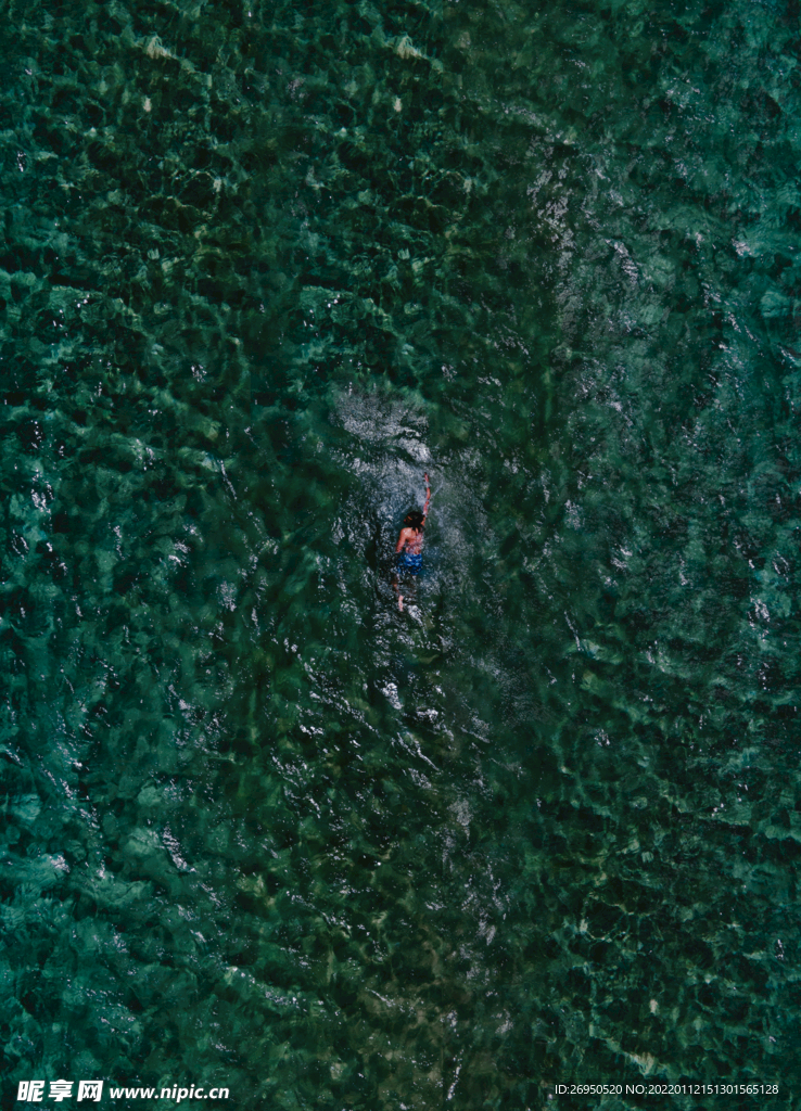 海