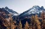 风景