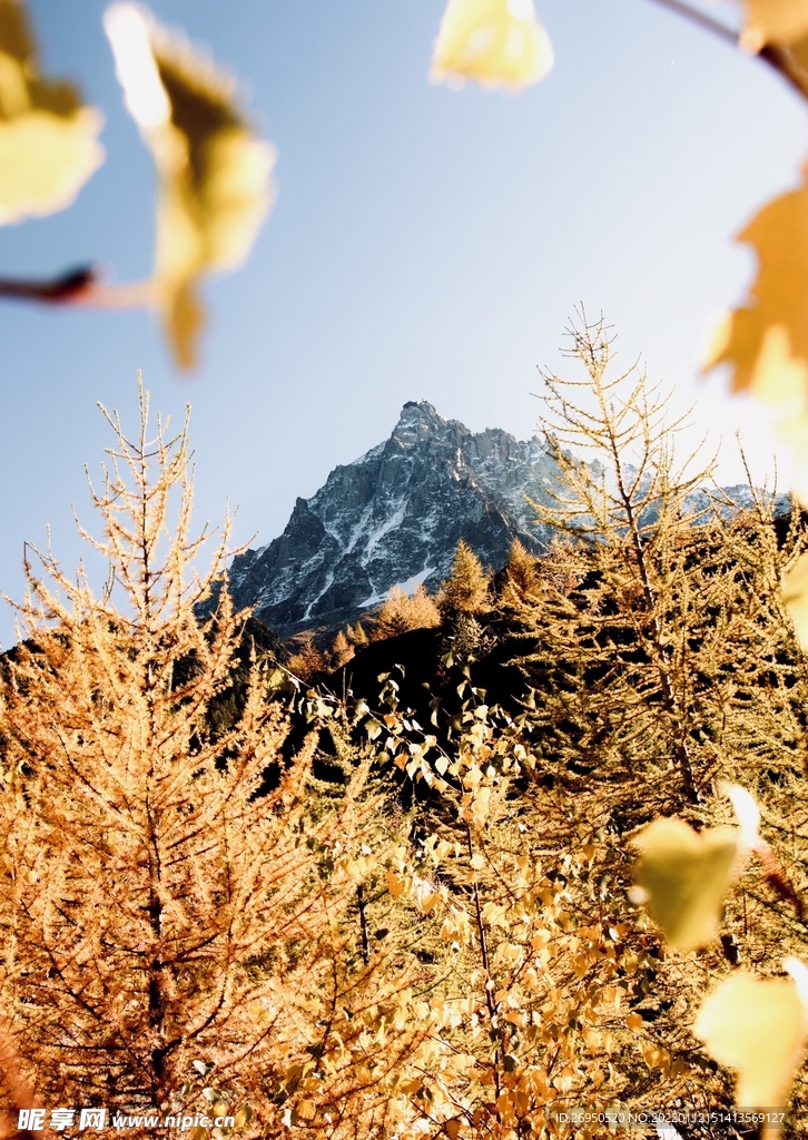 风景