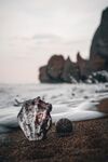 海
