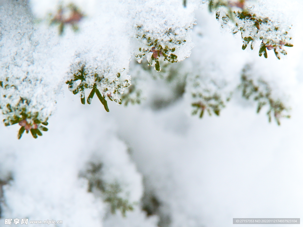 雪摄影