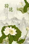 荷花 
