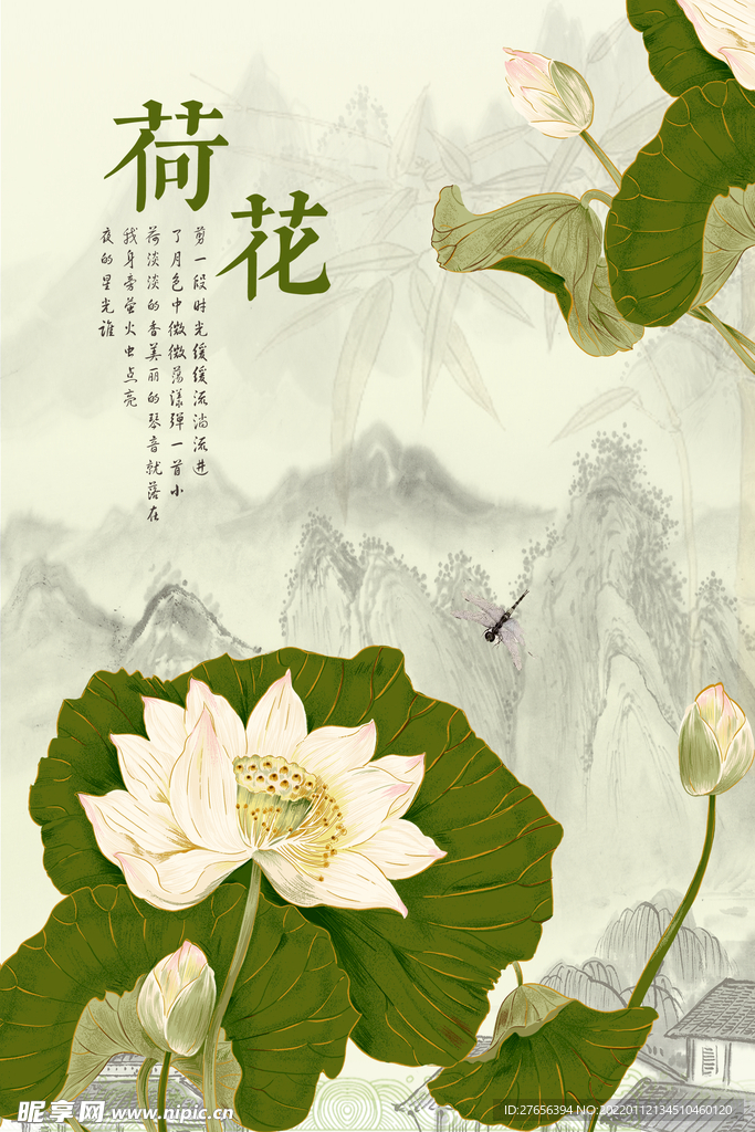 荷花 