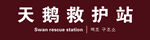 天鹅救护站