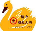 请勿追赶天鹅