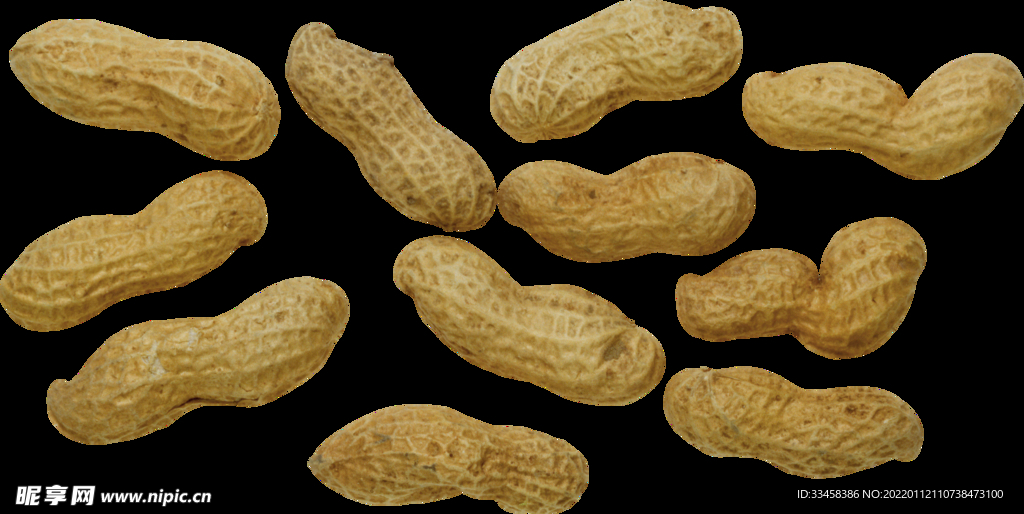 花生图片