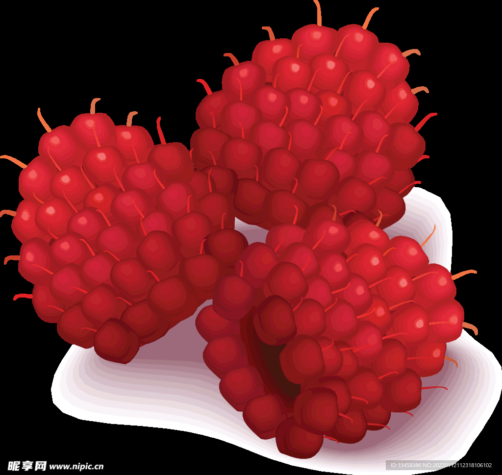树莓