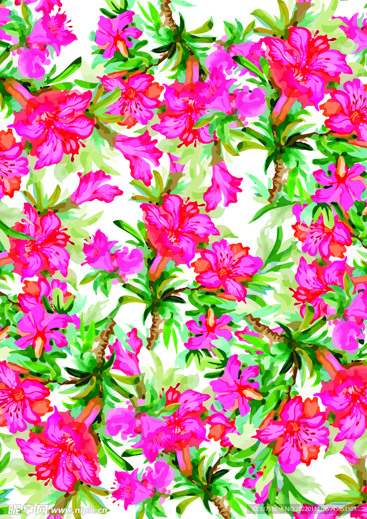 花卉