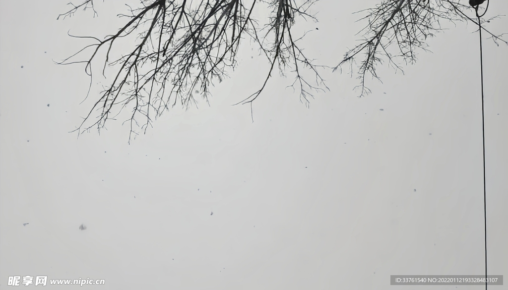 冬日飘雪