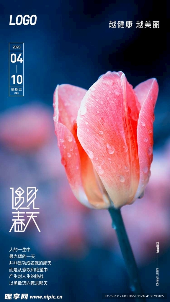 你好春天