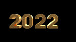 2022年金属字