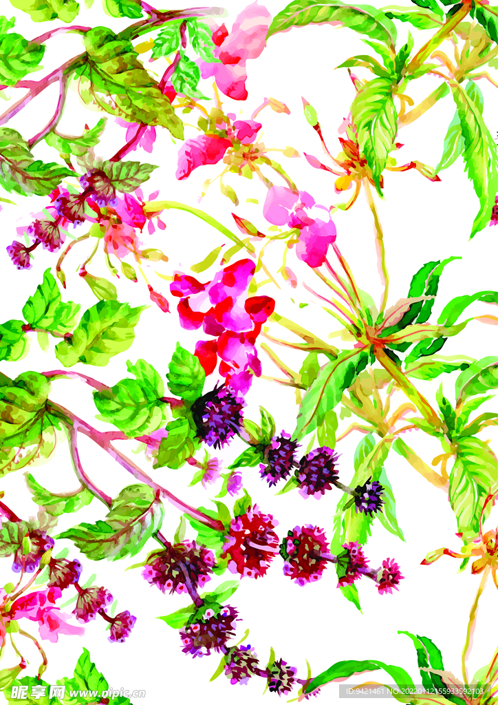 手绘花卉