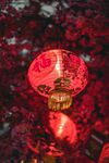 中国新年福字大红灯笼