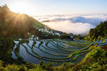 农村景色 