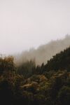 山林