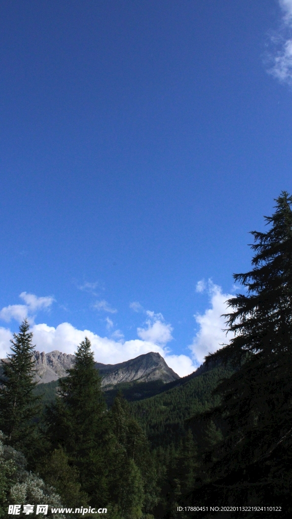 山林