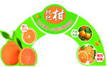 柑橘