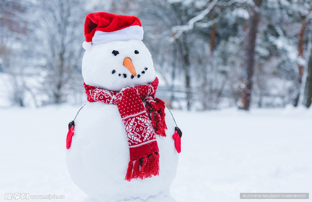 雪地里的雪人图片 