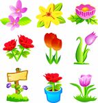 花卉盆栽