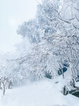 雪景雾凇