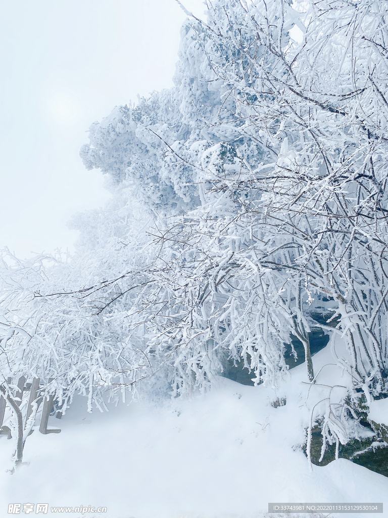 雪景雾凇