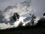 自然风景