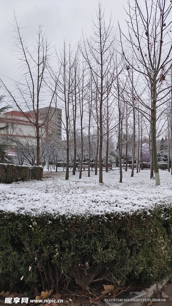 雪景