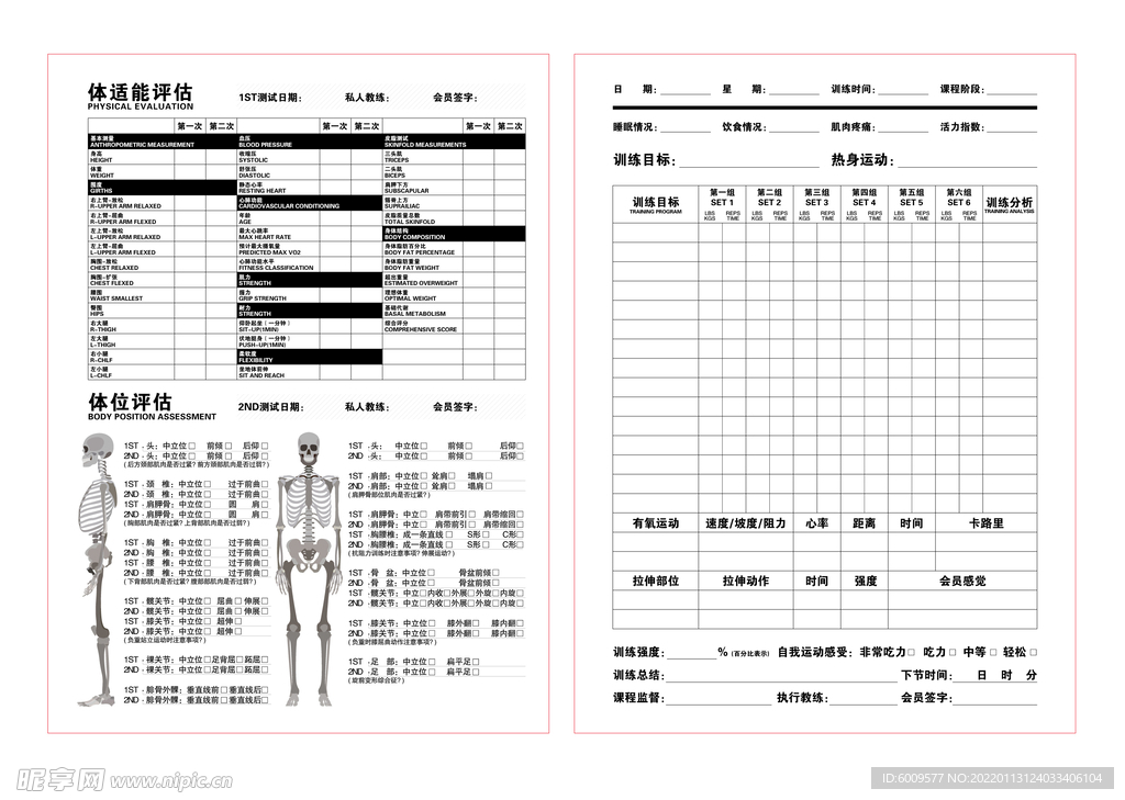 体能评估表