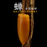 缅黄玉婵