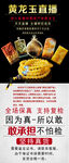 缅黄广告