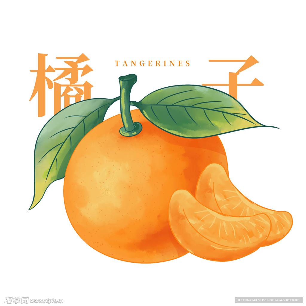 手绘水彩水果橘子