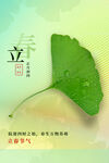立春