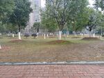 松雅湖公园背景素材