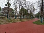 公园 背景 素材