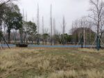 公园背景素材