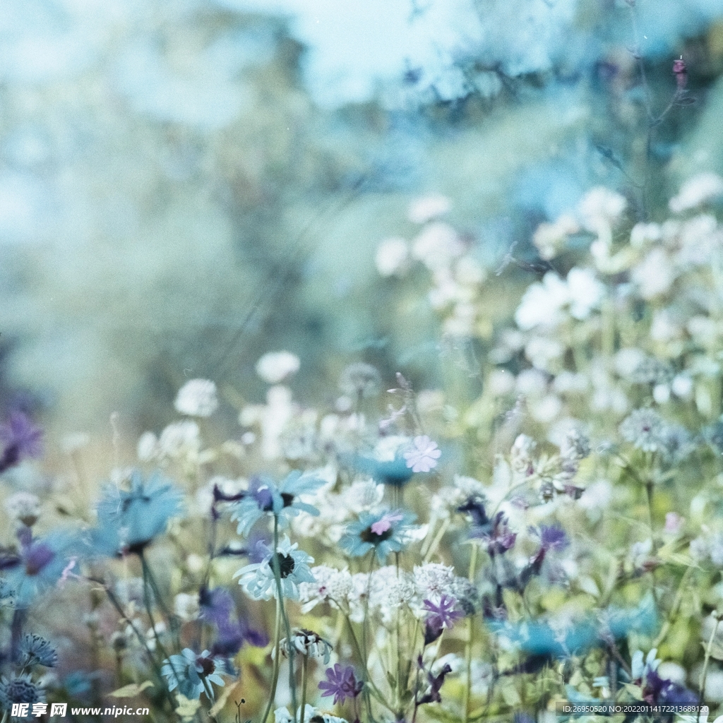 花