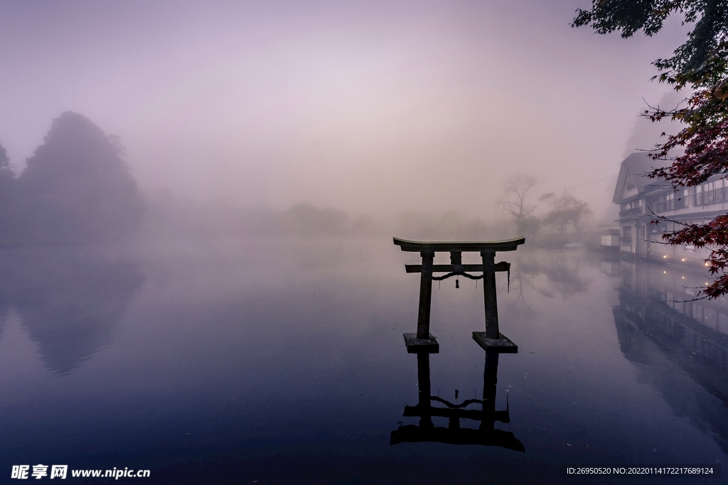 风景