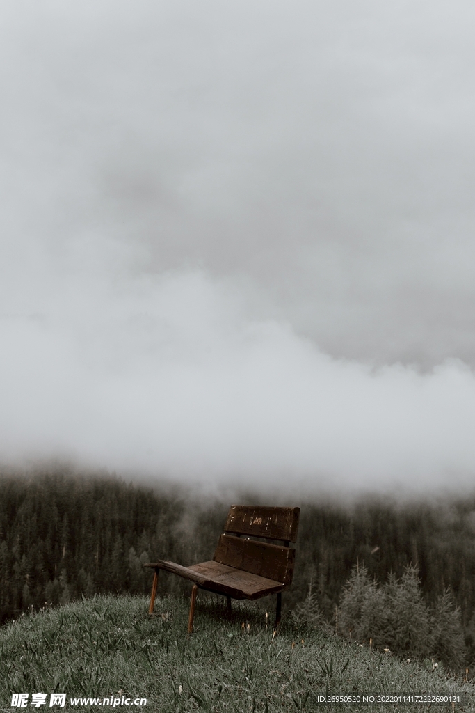 风景