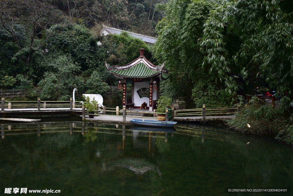 天鹅湖天鹅栖息地